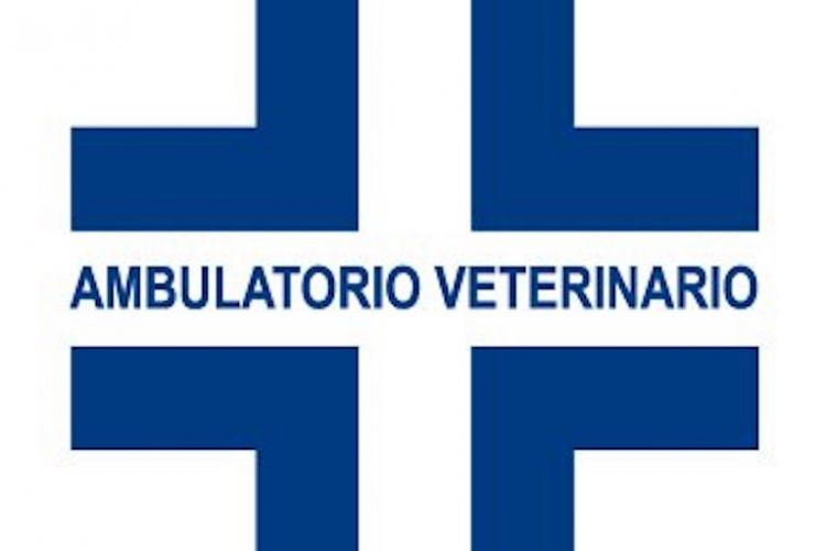 Ambulatorio veterinario 